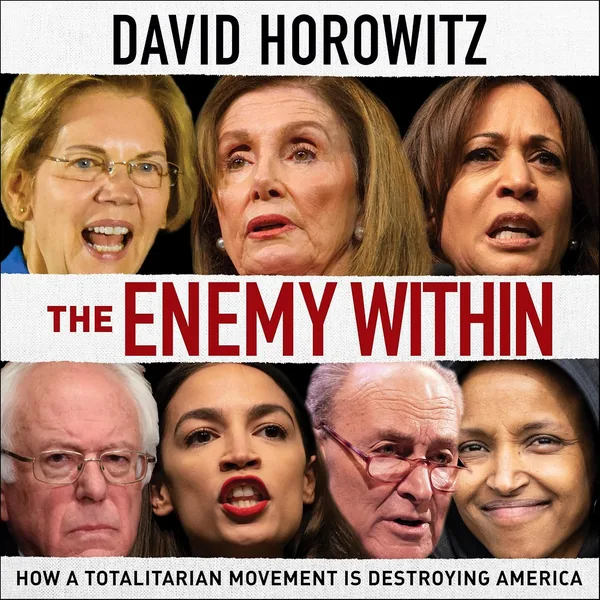 Cover of The Enemy Within by David Horowitz