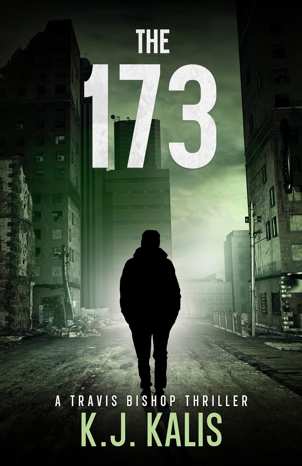Cover of The 173 by KJ Kalis