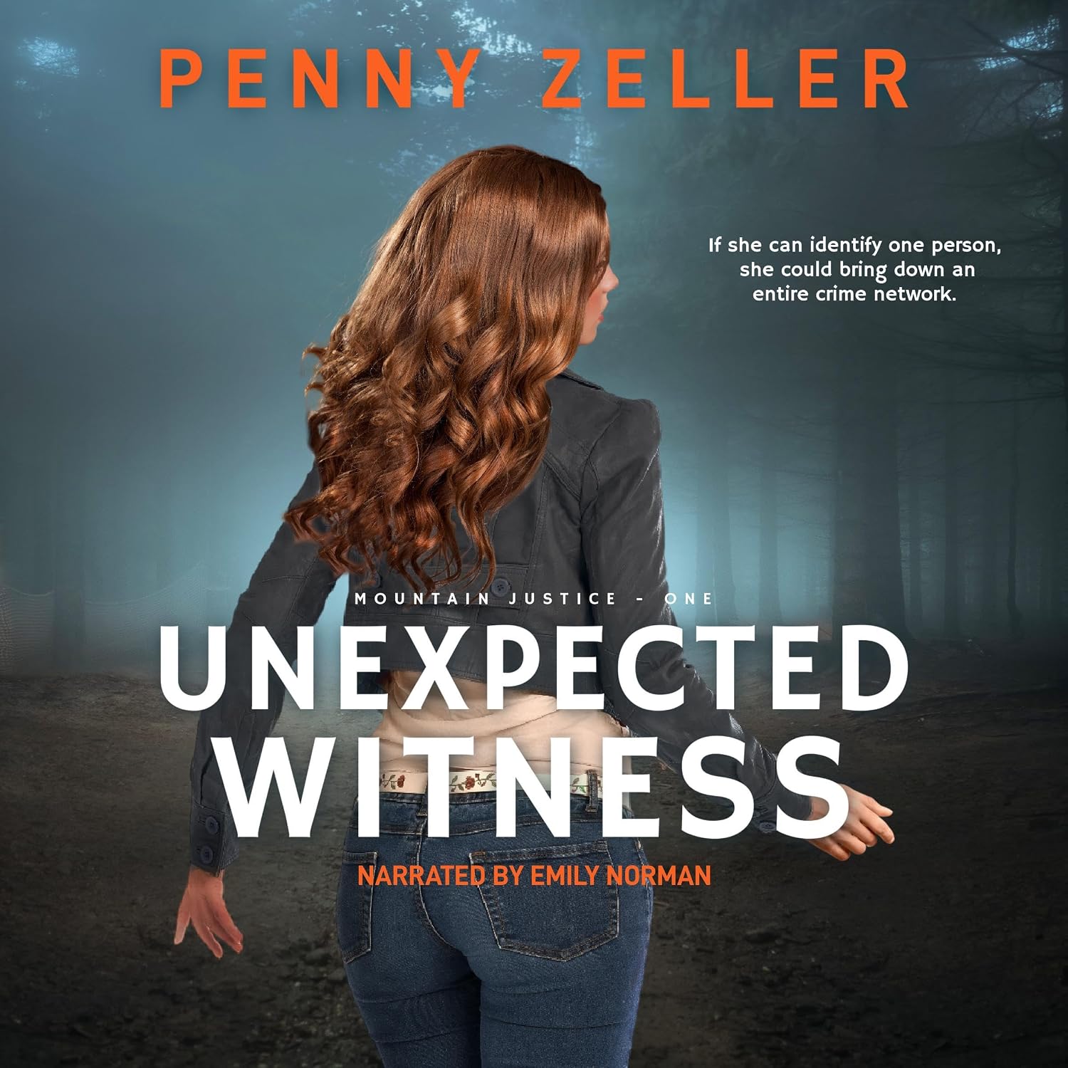 Cover of Unexpected Witness by Penny Zeller